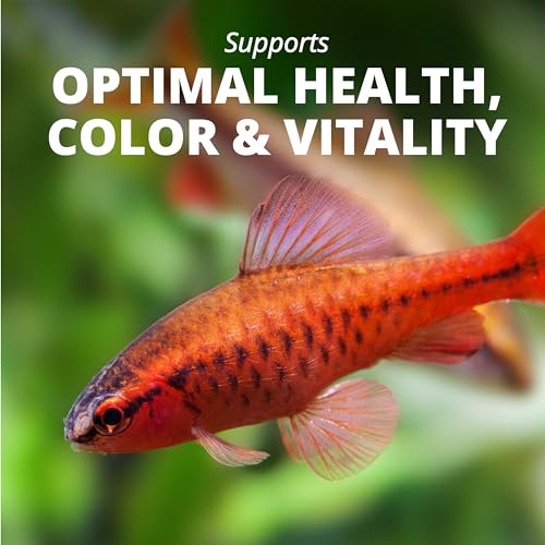 TetraPro Tropical Color Crisps, Fish Food With Natural Color Enhancers, Tropical Fish Food, 7.41 Ounces - Image 5