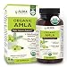 Avira Organic Amla for Immune Support - Max Strength 1300mg Serving per Day, Amla Rich in Vitamin C Complex, Rejuvenator - Daily Care, Non GMO, Made with AML5HS - Full Spectrum Extract - 60 Veg Caps