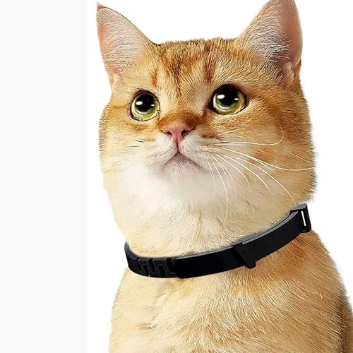 Coleira Natural Antipulgas E Carrapatos Cães&Gatos Ajustável