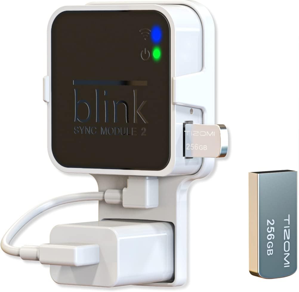 256GB Blink USB Flash Drive for Native Video Storage with The Blink Sync Module 2 Mount (Blink Add-On Sync Module 2 Itself is NOT Included)