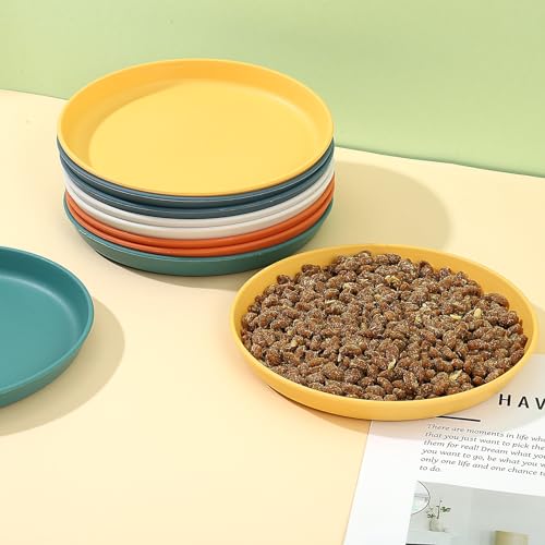 Apricitie 10 Stück Katzennapf Flach Katzen Futternapf 5.9 Zoll Runder Katzenteller Katzenschüssel Bunt Katzenfutter Napfset Für Trockenfutter Und Nassfutter