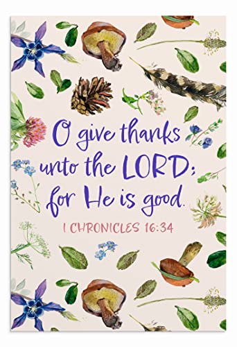 DaySpring - We Give Thanks - 4 designs da natureza sortidos com escrituras - Versão King James - 12
