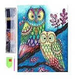 DIAMOND PAINTING KIT CON ACCESSORI: Include tela, pezzi colorati, vassoio, silicone argilla adesiva e penna per mettere i pezzi. Tela stampata e pronta per mettere ogni pezzo brillante per comporre il quadro scelto. I pezzi sono numerati e separati dai colori per facilitare il posizionamento e divertirti con questo mestiere.