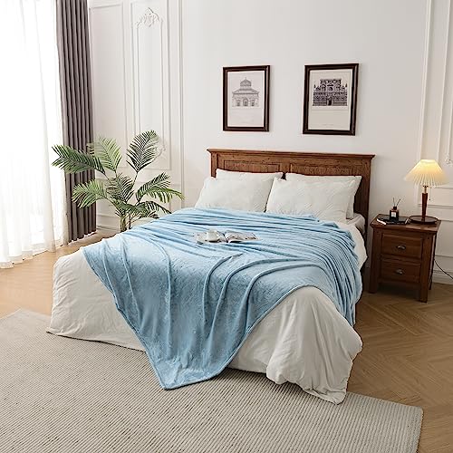 Kingole Flannel Fleece Microfiber Throw Blanket, Luxury Light Blue Queen Size Lightweight Cozy Couch Bed Super Soft And Warm Plush Solid Color 350Gsm (90 X 90 Inches) #TOP4