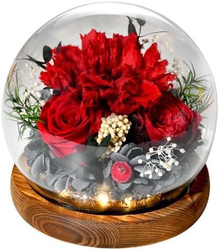 Gifts for Women, Preserved Real Carnation Roses Handmade in Glass with light, Gifts for Mom Grandma Wife Sister Girlfriend, for Birthday Valentine’s Day Christmas Thanksgiving Mother’s Day Anniversary