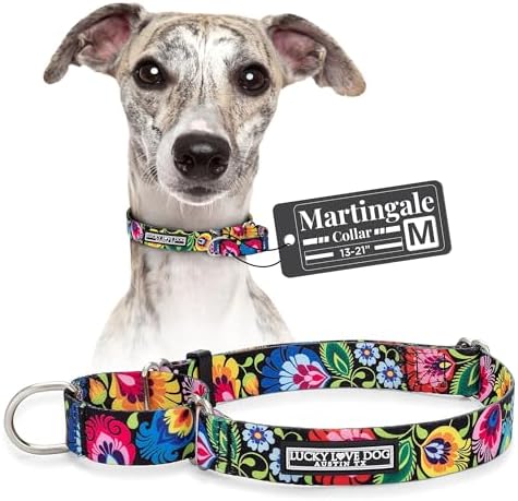 Lucky Love Dog Martingale Dog Collar - Adjustable, No-Slip, Durab...