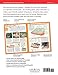 Patios: Designing, Building, Improving, and Maintaining Patios, Paths and Steps (Creative Homeowner) (Specialist Guide)
