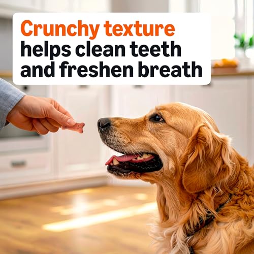 Image of Amazon Basics Crunchy Dog Biscuits Multi Flavor Dog Treats 5 lb. Box