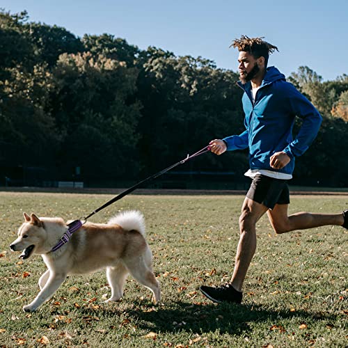 Joyeeiioo Martingale Dog Collar, Adjustable Nylon Reflective Collar With Buckle. No Pull -For Small, Medium, Large Dogs. Prevents Slipping Out-Helps With Strong Pullers-Increase Control (Purple M)… #TOP5