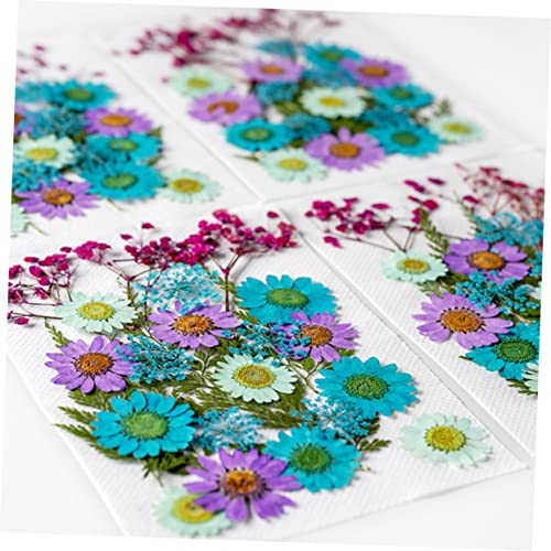 Hemoton 150 Pçs Pacote De Material De Flores Secas Acessórios Para Unhas Várias Flores Prensadas Nat