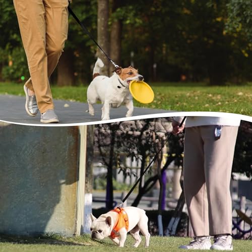 15m Schleppleine für Hunde, Schleppleine für Kleine Hunde, Ausbildungsleine, Robuste Nylon Hundeleine, Lange Hundeleine für Training und Outdoor, Ideal zum Spielen, Campen oder für den Garten