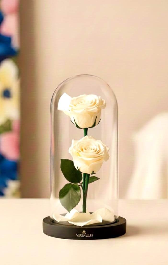 Versailles Preserved Rose in Glass Dome, Eternal Double White, Home Decor and Decoration, 420 Grams-image-28