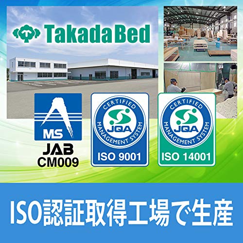 【高田ベッド ストレッチャー】 ライトストレッチャー100 幅60 長180 高75 レッド A001-1199/TB-1029 【