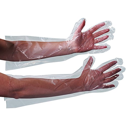 Clear Poly Gloves 18