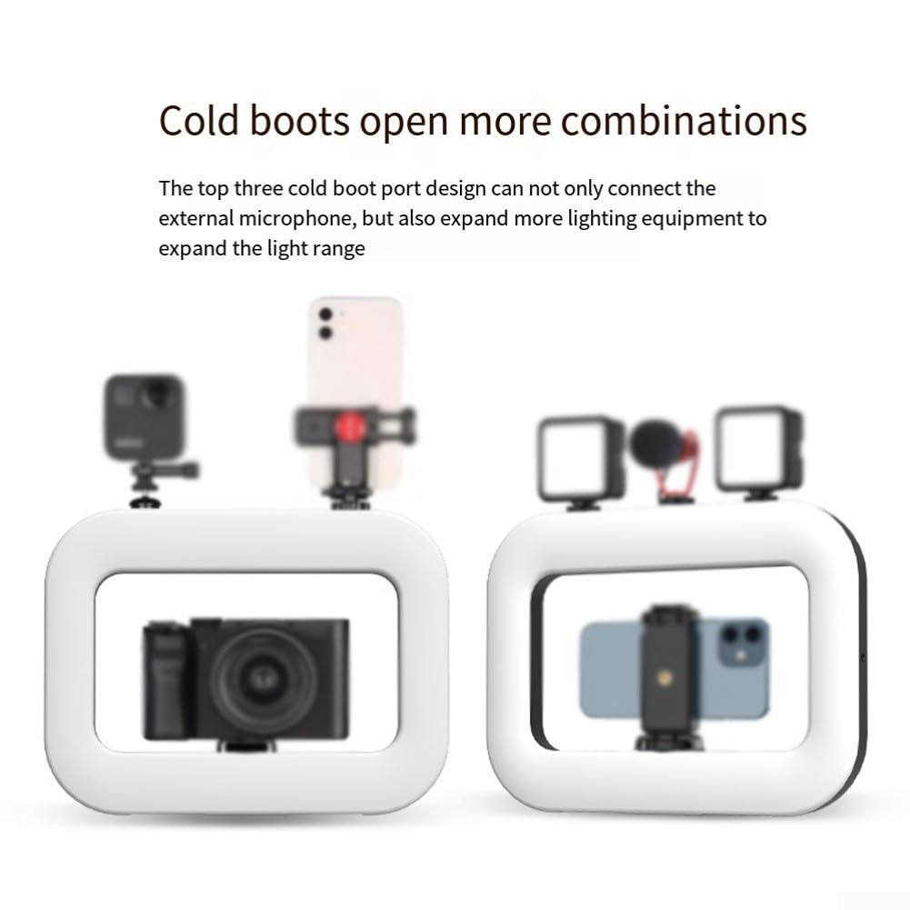 Luz de relleno para selfies de mano, luz recargable de 6600 mAh con relleno bicolor ajustable para fotografía de viajes/exteriores, luz de relleno portátil para selfies