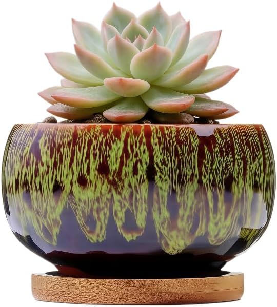 Cute Circular Ceramic Home Garden Decoration Succulent Cactus Flower Pots Container -Plant Not Included (Green, 4 Inch* 2 Inch)