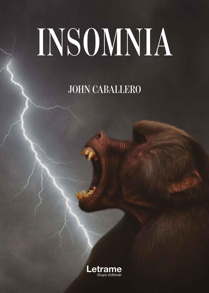 Insomnia: 1 (Ficción)