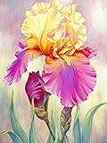 ZZZXX Pintar por Numeros Adultos Niños Hermosa Flor Pintura por Números con Pinceles Y Pinturas Decoraciones para El Hogar