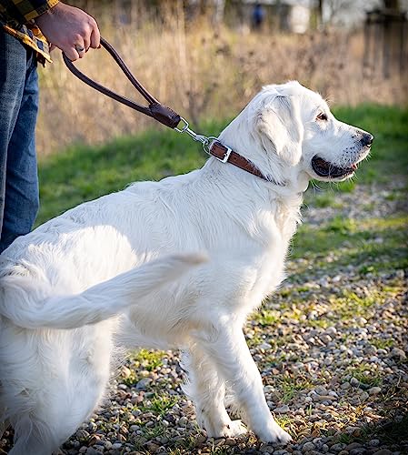 Kurzführer Hundeleine Bear 30cm - Kurze Hundeleine aus Echt-Leder rundgenäht – Hunde Lederleine kurz (Dunkelbraun)