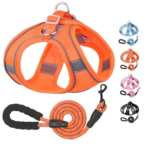 ybgpn[lX^ ^ n[lX [hZbg [v [hZbg^̃n[lXLp ˌXgbvt bV  ߉\ U EȒP ̃n[lX (IW, M)