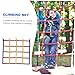 ARTSEWPLY Climbing Net for Boys and Girls Grinding Net Toy Outdoor Physical Training Strong Load Bearing
