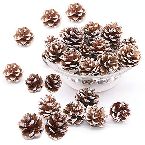 48 piezas Conos de Pino Secado Natural Navidad Colgante Adorno Colgantes Adornos Navideños Piñas Naturales Conos de Pino de Navidad Decoración de Navidad Piñas Conos de Pino Decoraciones para Arboles Cover