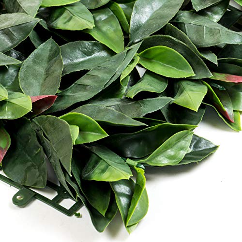 STI Siepe artificiale Ornamentale in Rotoli o Pannelli, Vasi e Quadri vegetali con piante...