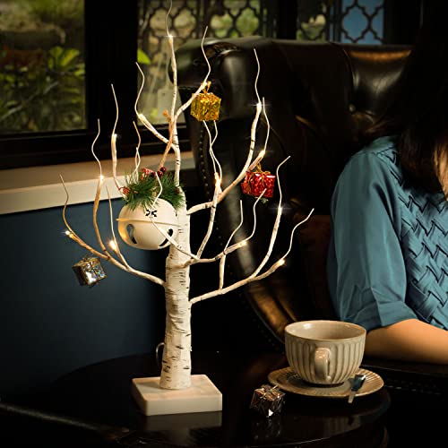 ZHOUDUIDUI Lighted Birch Tree, White Birch Tree Lights Timer Warm White Artificial Branch Tree for...