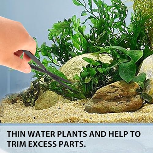 Image of POPETPOP Aquarium Scissors for Plants Water Grass Trimmer Professional Fish Tank Scissor Curved Spring Action Tool for Aquascaping Small Thin Aquatic Plant Trimming 6.10 Inch