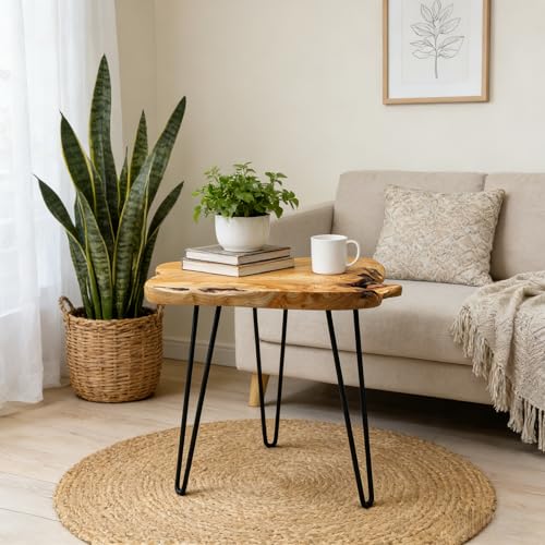 DONZIKLE Live Edge Cedar End Table Natural Wood Side Table 20 L x 14 W x 20 H Unique Desktop Nightstand Plant Stand for Living Room Bedroom Home Office (20 L x 14 W x 20 H)