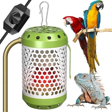 best heater for bird cage