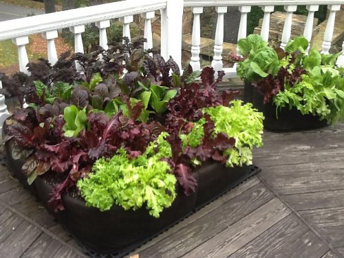 Victory 8 Fabric Raised Bed 2 ft X 2 ft Garden GREEN GARDENING Raised Bed, AeroFlow Fabric POT EZ-GRO SQUARE - Thumbnail 5