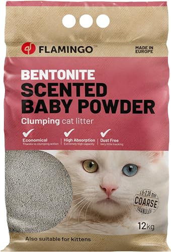Litière Chat Bentonite 12kg Super Absorbante