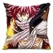 Etruke Anime Fairy Tail Erza Scarlet Gray - Cojín de Almohada para sofá, Doble Cara