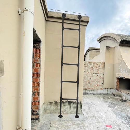 Lonmrrton Wall Mounted Metal Ladder Basement Window Well Escape Ladder, 210cm 220cm 230cm 240cm 250cm Universal Climbing Ladder Fire Escape Ladders, Loads 150kg(100cm/39in)