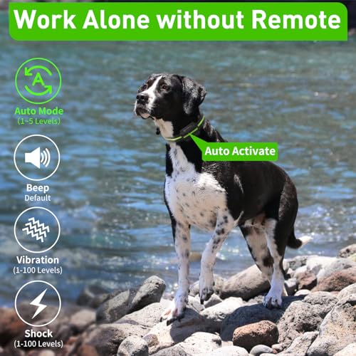 Design du collier anti-aboiement PetJoy