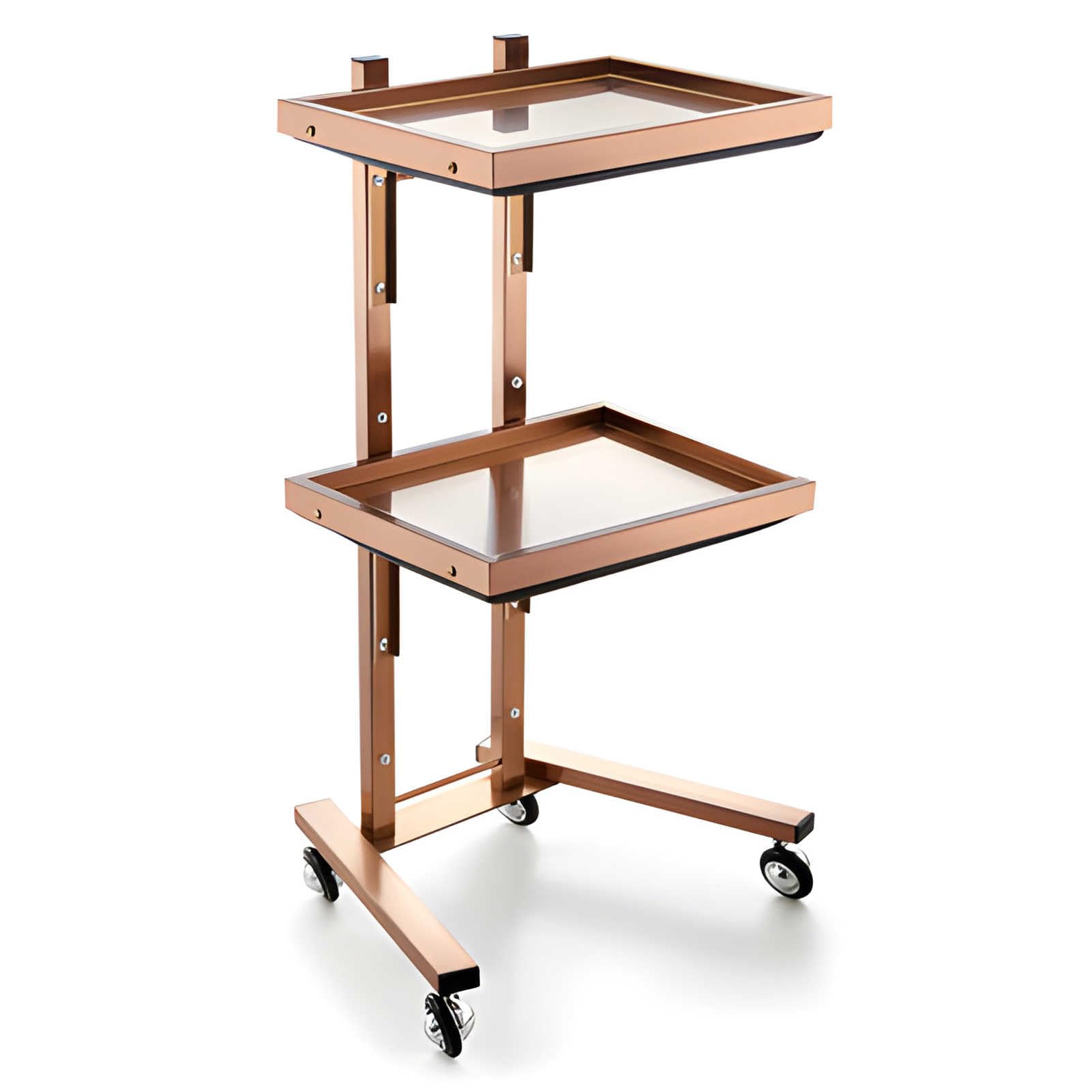 Carrello Professionale per Salone di Bellezza, Robusto e con Ruote, Organizer Mobile in Acciaio Inossidabile per Parrucchieri, Centri estetici, Unghie, Tatuaggi, Spa e studi di Bellezza, por