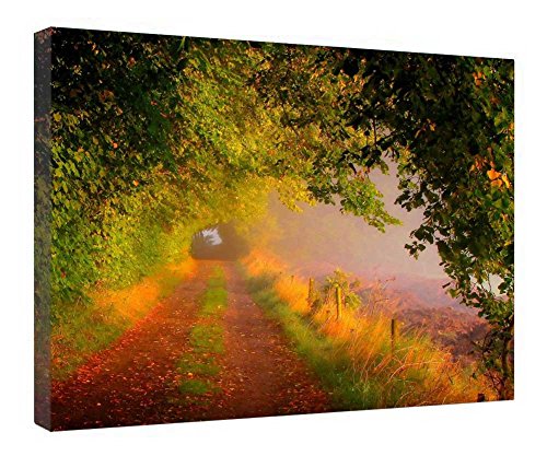 Chemin secret impression sur toile murale pour créer une ambiance zen dans le salon