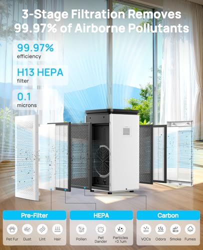 True HEPA Air Purifier for Allergies