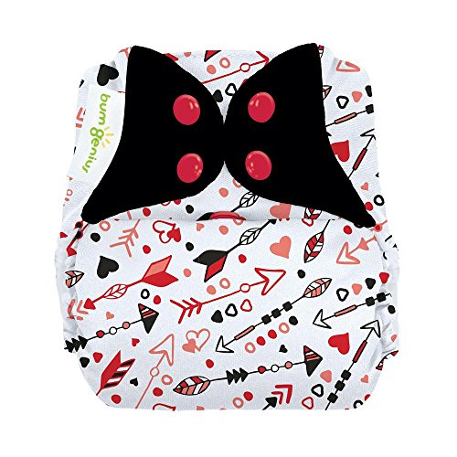 Limited Edition: bumGenius Freetime All-in-One One-Size Snap Closure Cloth Diaper (Be Mine)