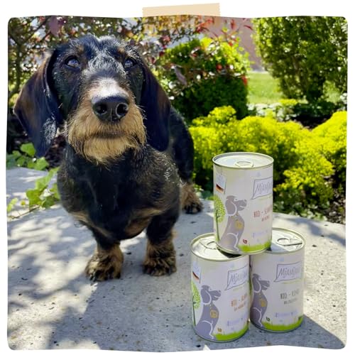 MjAMjAM - Premium Nassfutter für Hunde - natürlich lecker - Die Bio Box, 6er Pack (6 x 200g), getreidefrei