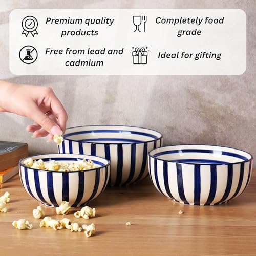 Image of Niyara Stoneware Handmade Ceramic Stylish Premium Serving Bowls /Salad Tray Microwave Dishwasher Safe (Blue line Set of 3)