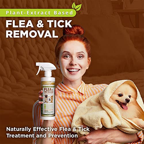 EcoVenger Flea & Tick Removal Spray 16oz for Dogs and Cats, Protects from Fleas, Mites, Ticks & Mosquitoes, eliminates+ Repels+ Housekeeping, Indoors/Outdoors, Plant-Based Formula Safe for Pets & Kids - Thumbnail 3