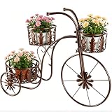 SUNREEK Metal Bicycle Planter Stand, 3 Tier Flower Pot Stand Cart with 3 Plant Buckets, Outdoor Garden Decorative Planter for Yard Patio Lawn Flower Shop Home Decor (Bronze)