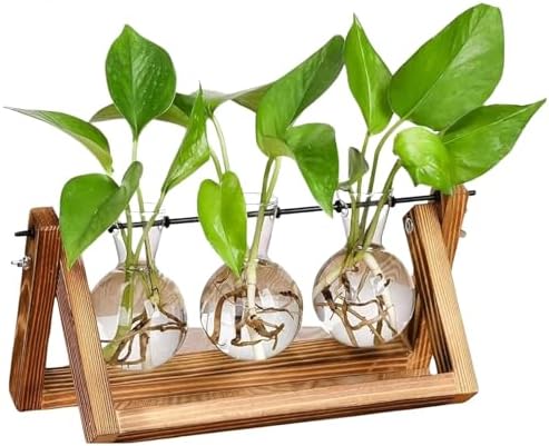 Vaso de Vidro Decorativo de mesa, Com Suporte de Madeira e Metal,...