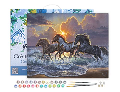 Figured'Art Peinture par Numéro Adulte avec Cadre Trio de chevaux - Activité Manuelle Kit de Loisir Créatif DIY Numéro d'Art Complet - 40x50cm toile tendue sur châssis