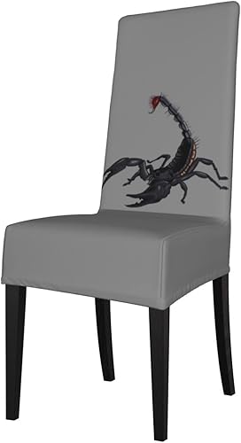 Miniatura 17 de WURTON Retro Cool Camera Collection - Funda protectora para sillas de comedor, elástica, lavable, adaptable a lo normal Colección de cámara retro