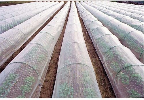 Amazon コーナン オリジナル 防虫ネット 1 8 m 1mm目合い 園芸用シート