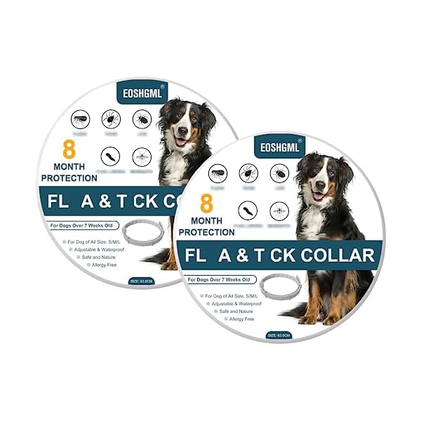 2 Pack Collar for Dogs, Continue 16 Months Effectiveness Protection, Natural Essential Oil Prevention, Safe & Waterproof, Adjustable for Small, Medium and Large Dog (2Pk-Dog-63.5cm) 2 Pack Collar for Dogs, Continue 16 Months Effectiveness Protection, Natural Essential Oil Prevention, Safe & Waterproof, Adjustable for Small, Medium and Large Dog (2Pk-Dog-63.5cm)