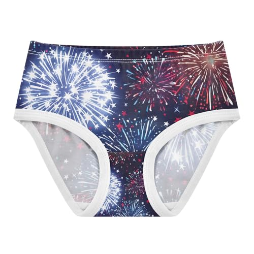 Fireworks Red Toddler Girls's Underwear 2T 202c1765